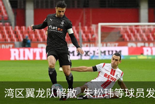 湾区翼龙队解散 朱松玮等球员发布声明维权